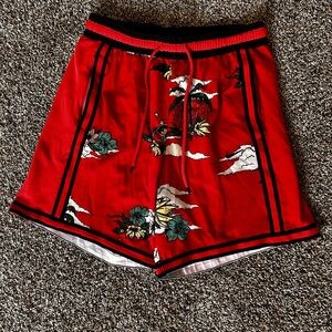 Nike Basketball Shorts